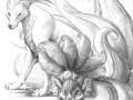 c_1231607275639_vulpix_and_ninetails.jpg